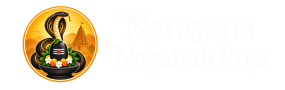 narayananagabalipuja